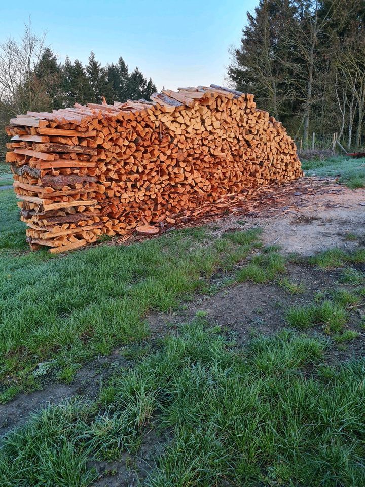 Brennholz 1 Meterstücke Raummeter in Trier