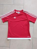 ADIDAS Shirt Original Adidas Sportshirt/Fussballshirt Gr. 146/152 Niedersachsen - Quakenbrück Vorschau