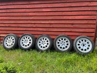 Sommerreifen 205 / 55 R16Audi A6 C5 oder A3 kein Golf Continental Nordrhein-Westfalen - Minden Vorschau