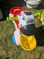 Lauflernwagen als Zebra Schleswig-Holstein - Raisdorf Vorschau