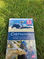 Ostwind Buch Niedersachsen - Braunschweig Vorschau