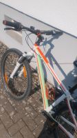 Haibike Life 7.10 Thüringen - Treffurt Vorschau