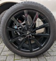 4 Winterkompletträder BMW X2 Pirelli 225/50 R18 99H M+S Sachsen-Anhalt - Halberstadt Vorschau