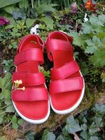 Ecco Sandalen Gr. 38 rot  NEU Nordrhein-Westfalen - Breckerfeld Vorschau