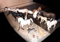 Schleich Figuren Pferde, Einhorn,  Katze Hessen - Gießen Vorschau