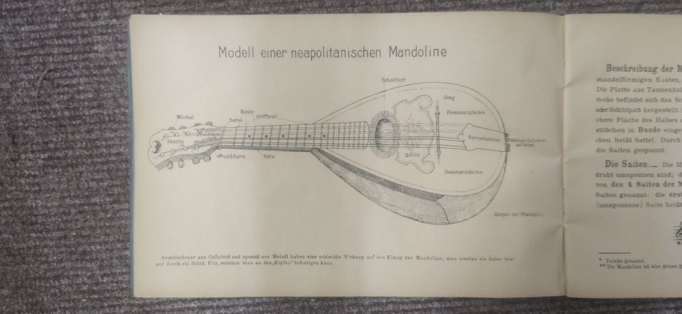 neapolitanische Mandoline der Firma Dreima aus dem Erzgebirge in Arnstadt