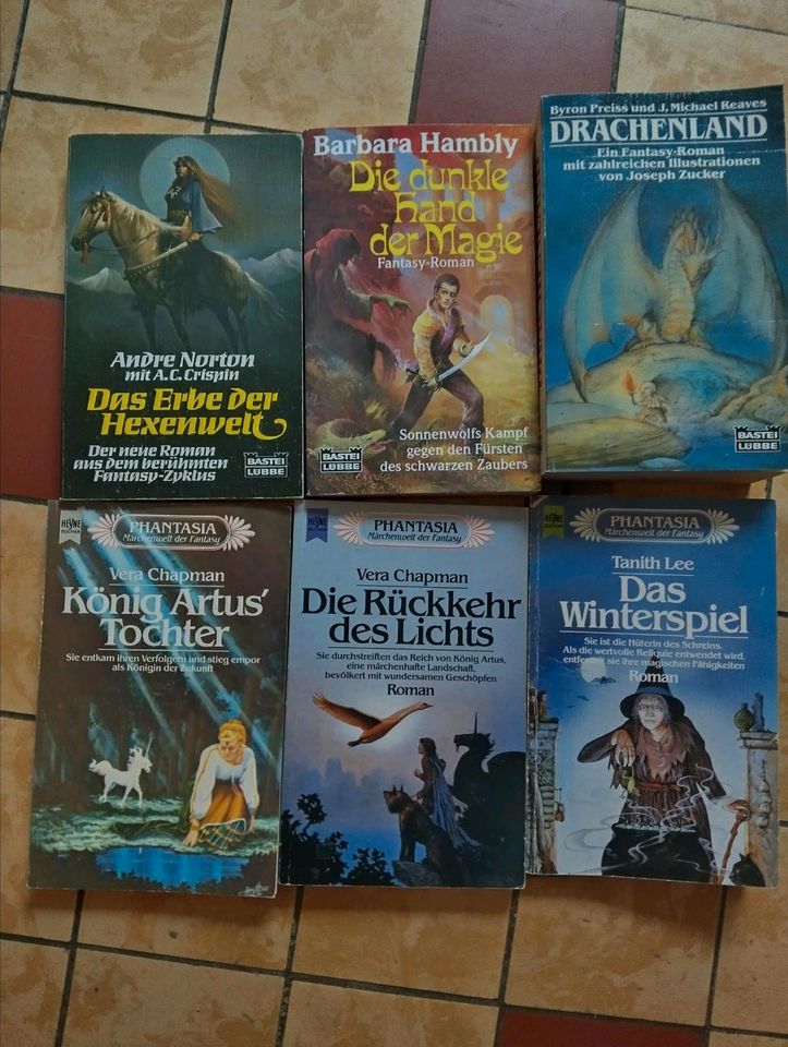 Fantasy Romane, Meuchelmörder von Gor, Zauberer von Calisto usw. in Sinsheim