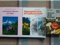 Blumen und Pflanzen Bücher Nordrhein-Westfalen - Brilon Vorschau