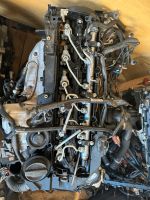 Kraftstoff Anlage Bmw F Serie N57 - N57d30b 3.5d 7823461 Bayern - Seubersdorf Vorschau