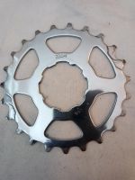 Ritzel 23t Miche für Campagnolo 8-fach/9-fach Kassette Leipzig - Leipzig, Südvorstadt Vorschau