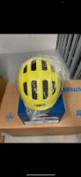 Fahrradhelm Abus neu 50-55 Neuhausen-Nymphenburg - Neuhausen Vorschau