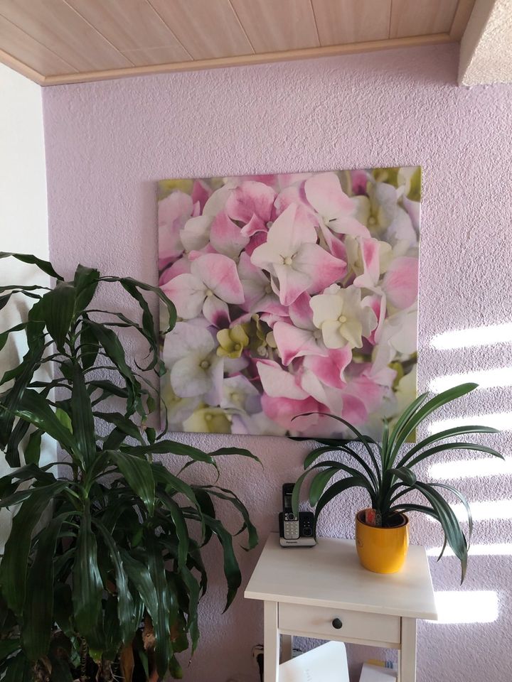 Wandbild Poster Hortensien in Oberaula