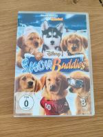 DVD snow Buddies Kr. München - Unterschleißheim Vorschau