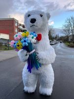 Tanzbär Tanz mit Bär Polarbär Auftritt Events Geburtstag Hochzeit Niedersachsen - Braunschweig Vorschau