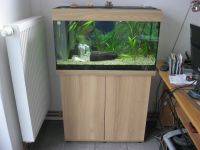 Aquarium Juwel 125 Liter komplett mit Zubehör Vorpommern-Rügen - Landkreis - Sundhagen Vorschau