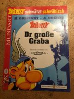 Asterix-Comic"Dr große Graba" Hessen - Künzell Vorschau