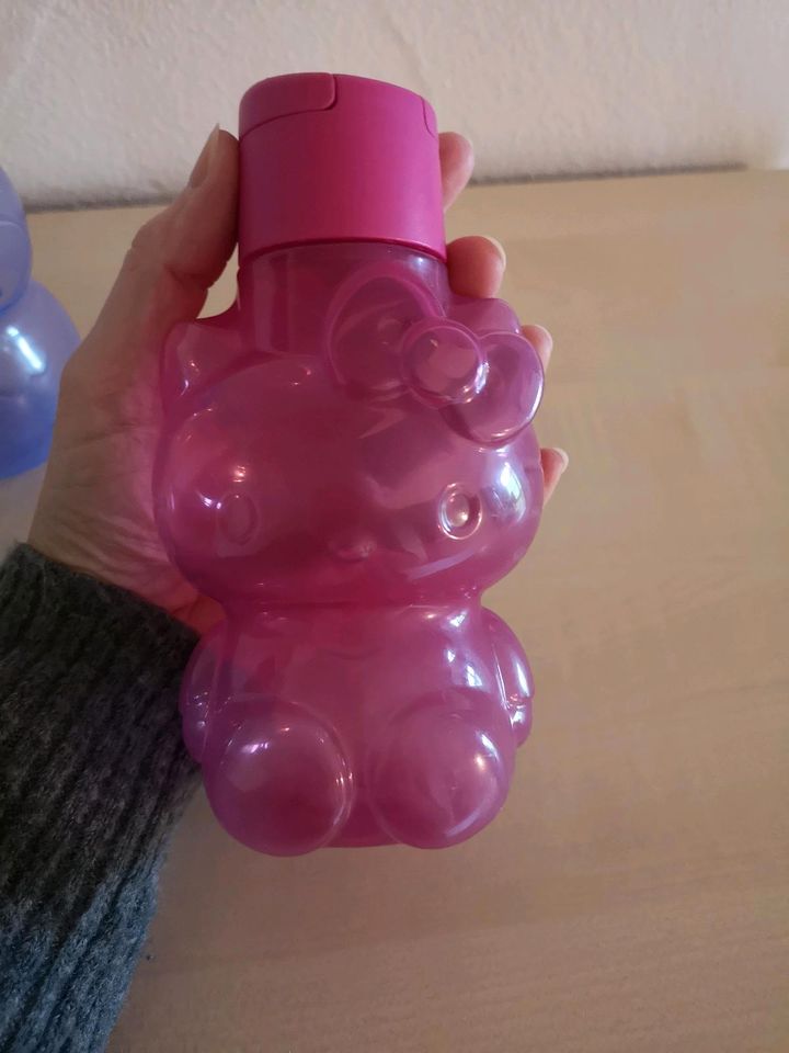 2 x Tupperware Trinkflasche Eule, Hello Kitty pink Lila Kita in Drolshagen