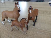 Schleich Pferde Hannoveraner (13817, 13818, 13837, McDon.) Thüringen - Hermsdorf Vorschau