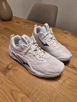 Sportschuh Handballschuh Mizuno Wave Stealth Neo 2 43 Bergedorf - Hamburg Allermöhe  Vorschau