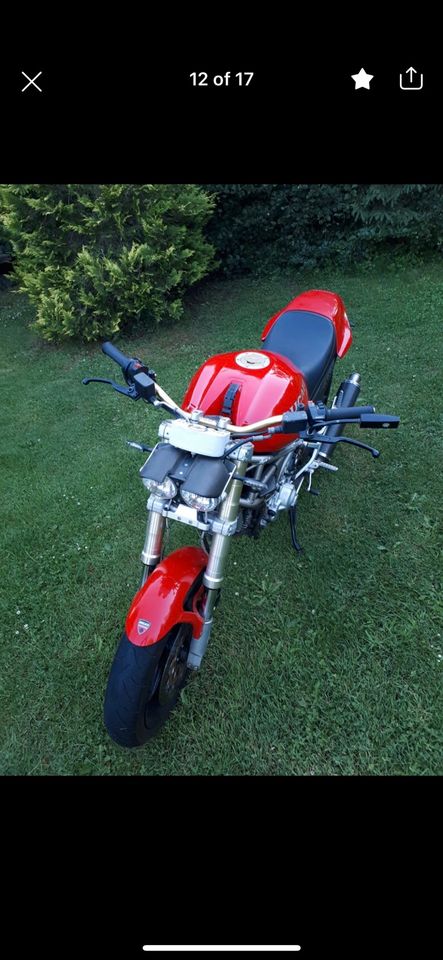 Ducati Monster M900 alles NEU in Bitburg