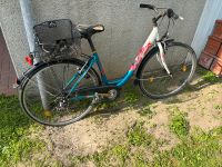 Damen Fahrrad Bastler 28 Zoll Niedersachsen - Seelze Vorschau