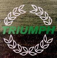 TRIUMPH 1981 - Triumph Motor Company - Original Prospekt Nordrhein-Westfalen - Kleve Vorschau
