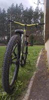Verkaufe Dirtbike Kellys Whip 30! Brandenburg - Guben Vorschau