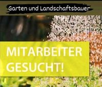 Garten und Landschaftsbau Nordrhein-Westfalen - Recklinghausen Vorschau