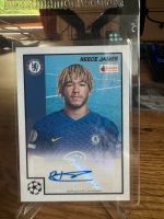 Reece James Auto 13/49 Brandenburg - Falkensee Vorschau