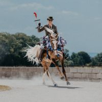 TWH Wallach Stormy sucht eine Reitbeteiligung Bayern - Spalt Vorschau