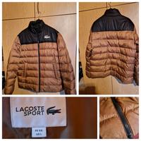 Lacoste Übergangsjacke Braun / Schwarz Rheinland-Pfalz - Kleinsteinhausen Vorschau