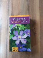 Pflanzen Schnitt Box Niedersachsen - Jever Vorschau