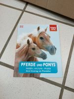 Pferde und Ponys Kinderbuch Saarland - Namborn Vorschau