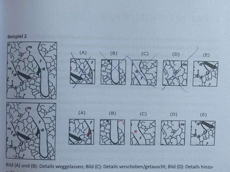 TMS Lehrbücher: Med 2 university (Die weiße Reihe) in Schloß Holte-Stukenbrock