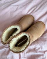Uggs mini chestnut Hamburg-Mitte - Hamburg Hamm Vorschau
