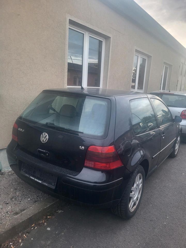 Golf 4 mit 1.6 Motor, Tüv NEU, Öl NEU, Klima, Tausch möglich in Bad Hersfeld