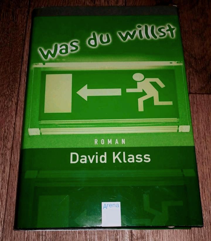 Buch Roman David Klass - Was du willst in Pönitz