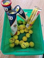 40 alte Tennisbälle abzugeben Stuttgart - Sillenbuch Vorschau
