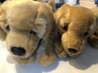 Golden Retriever Kuscheltier wie Neu 2 Hunde KeelToys Hamburg-Nord - Hamburg Uhlenhorst Vorschau