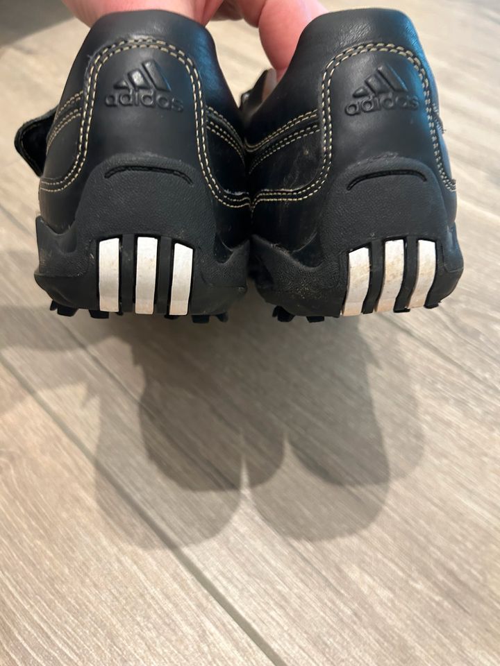 Golfschuhe Adidas Gr. 40 neuwertig in Hennef (Sieg)