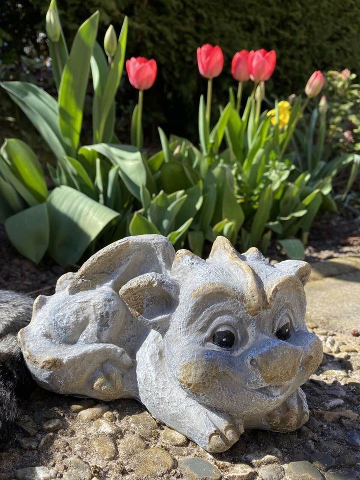 Garten Dekor Figuren 3 Drachen Neu in Schwedt (Oder)