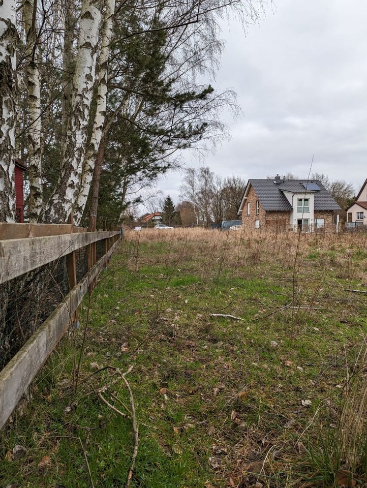 Großes Baugrundstück in Storkow zu verkaufen. in Storkow (Mark)