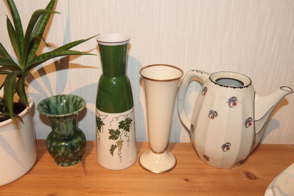 Zimmerpflanze Vase Sansevieria Bogenhanf Geldbaum Pflanze in Berglen