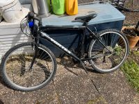 Fahrrad zu verkaufen Rheinland-Pfalz - Höhr-Grenzhausen Vorschau