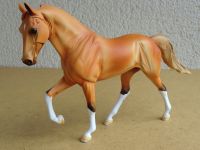 MODELLPFERD PETER STONE TWH Fuchs GINGERSNAP USA 2005 LSQ Hessen - Oberursel (Taunus) Vorschau