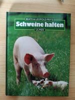 Schweine halten Baden-Württemberg - Hockenheim Vorschau