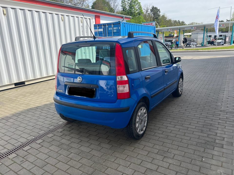 Fiat Panda 1.2 Automatik! in Falkensee