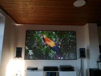 EliteScreens Daylight 100 Zoll Leinwand Bayern - Bad Griesbach im Rottal Vorschau