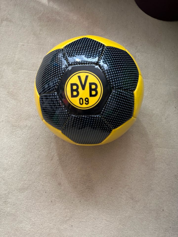 Fußball Größe 5 Borussia Dortmund neu in Köln