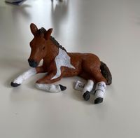 Schleich Trakehner Fohlen Dortmund - Hombruch Vorschau